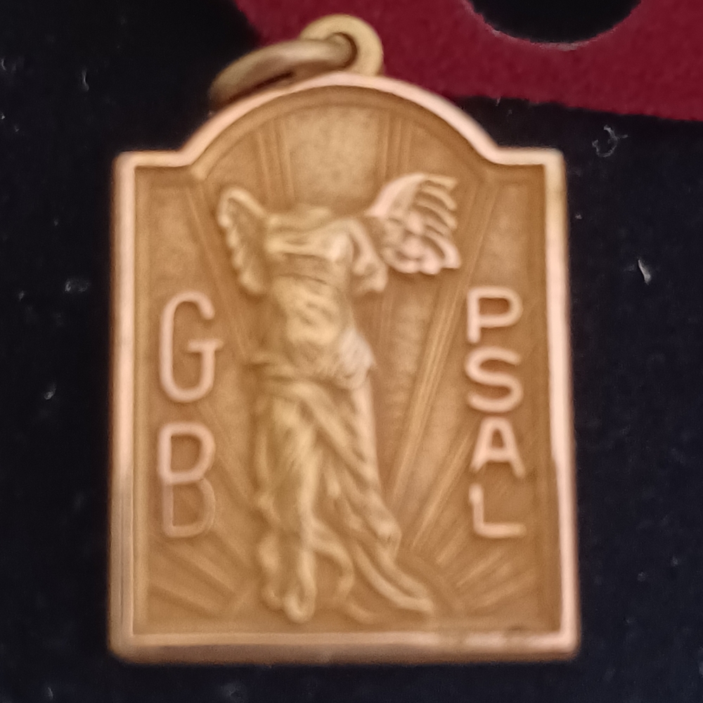 Pin collection - Picture 2 of 9